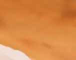 퇴직금과 퇴직연금