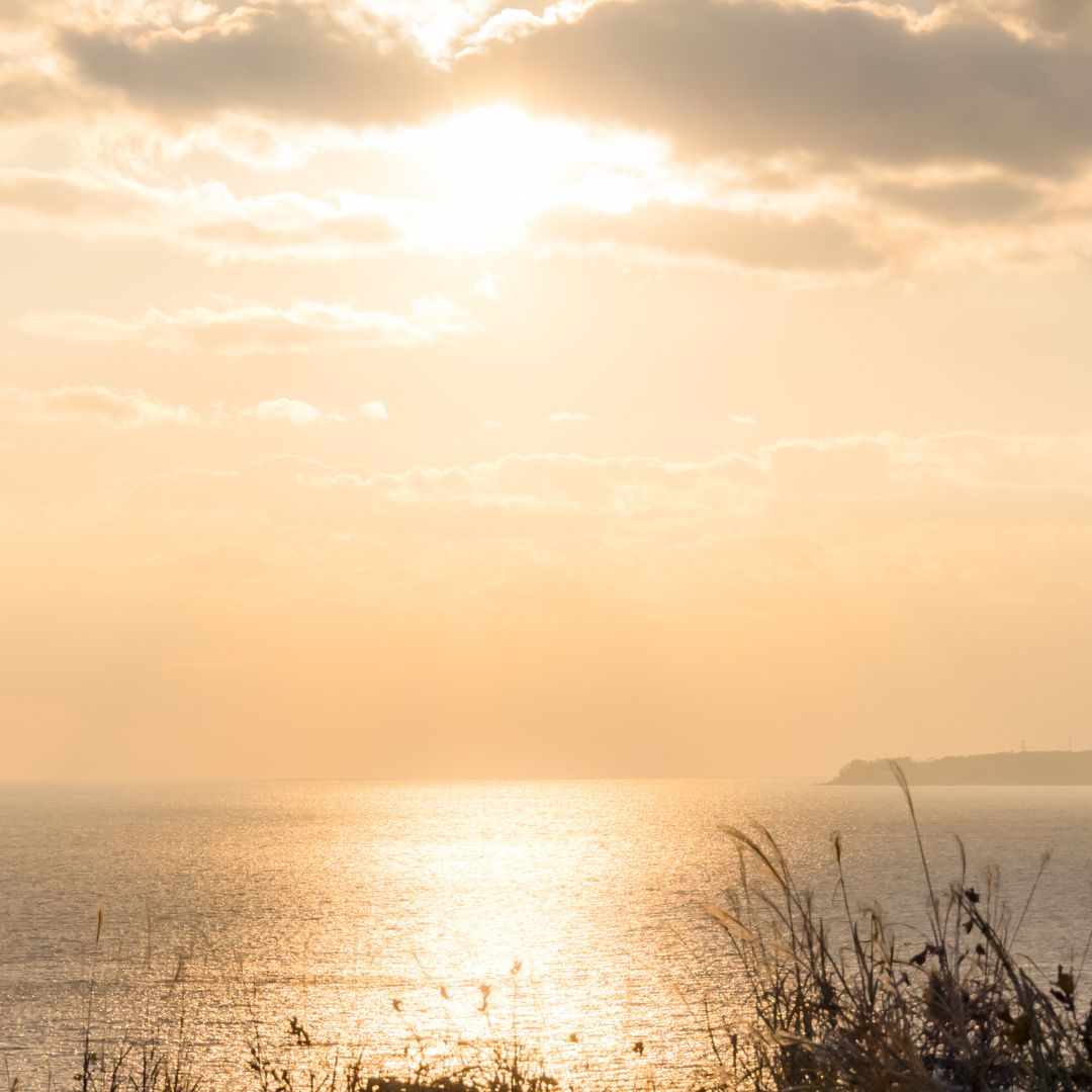 광주/5•18/민주화운동기록관
