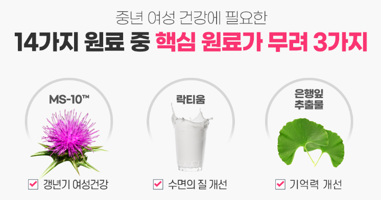 리피어라-사진1
