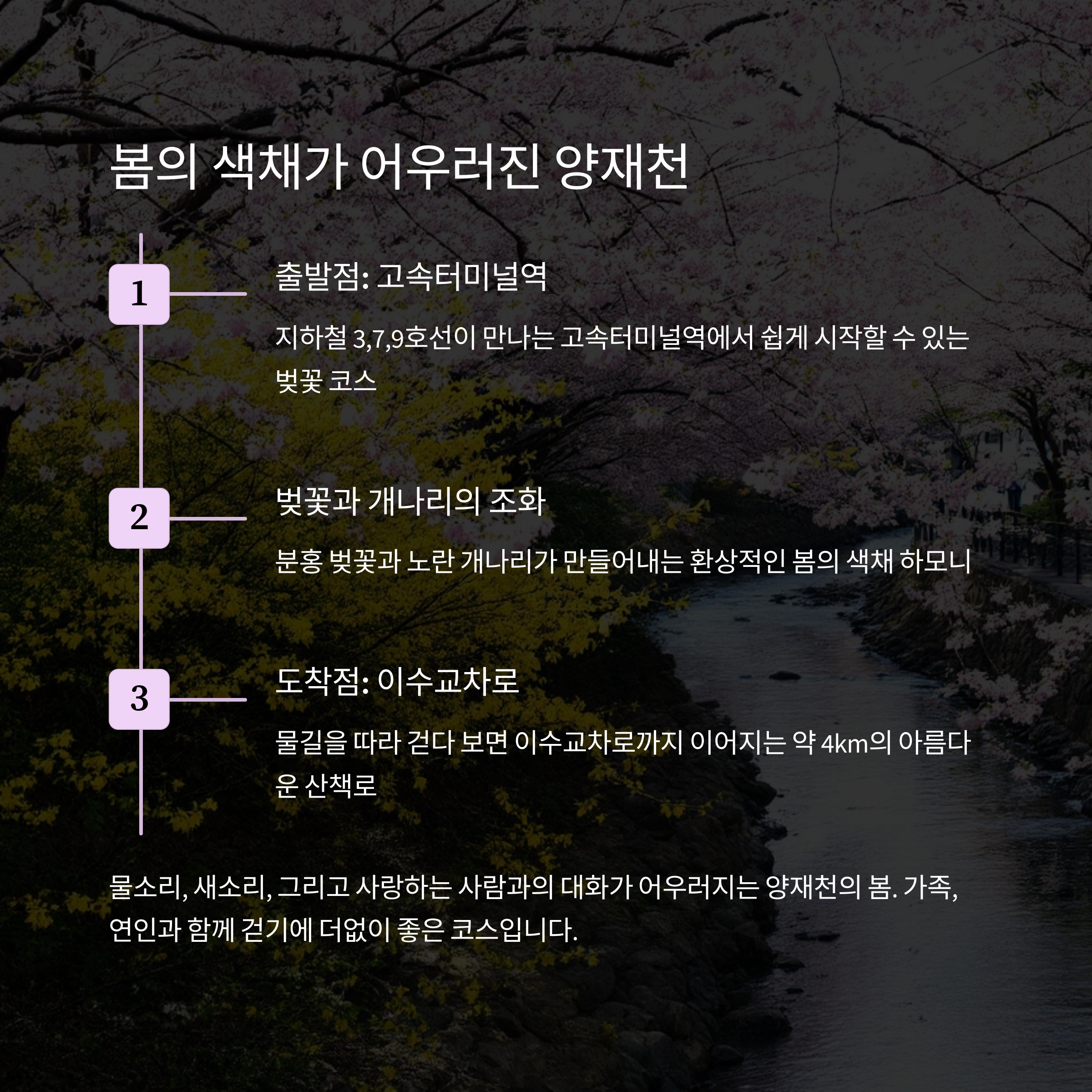 서울 수도권 숨은 벚꽃 명소 TOP 5