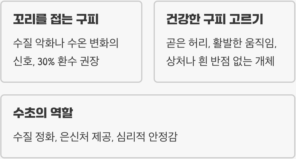 구피키우기 A to Z (어항&amp;#44; 먹이&amp;#44; 수질 관리)