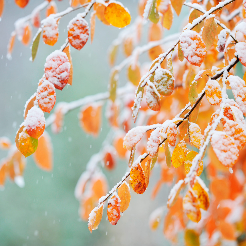 계절의 변화를 세분화한 24 절기 중 '상강' 이해하기