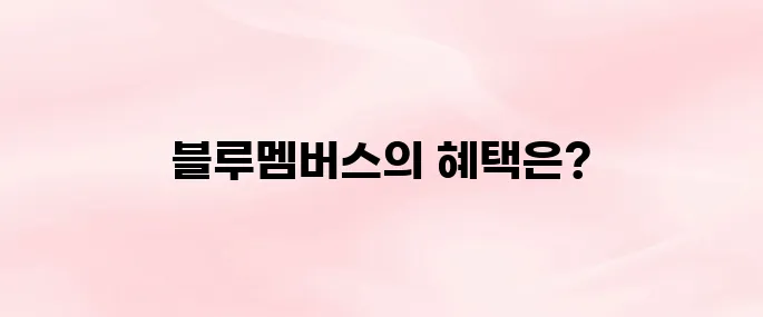 현대자동차 블루멤버스 홈페이지 바로가기