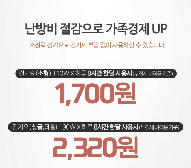 겨울철 가성비 좋은 1인용 전기장판