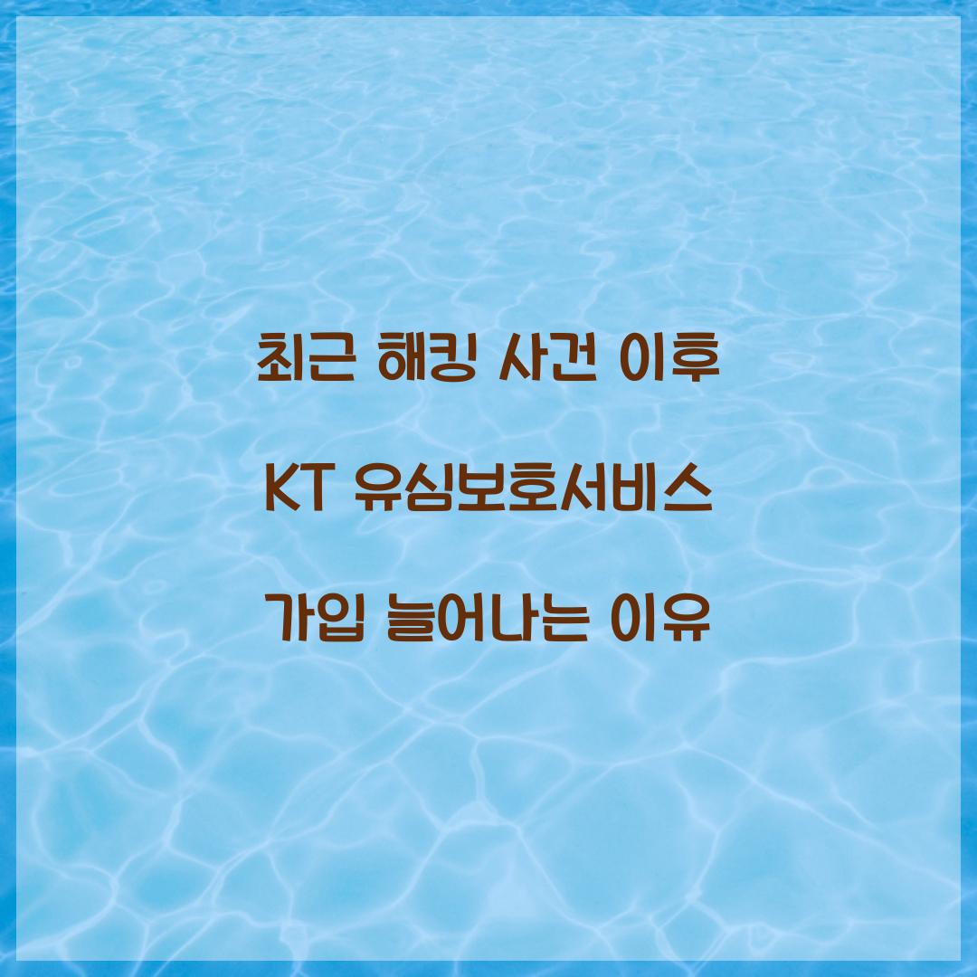 최근 해킹 사건 이후 KT 유심보호서비스 가입 폭주