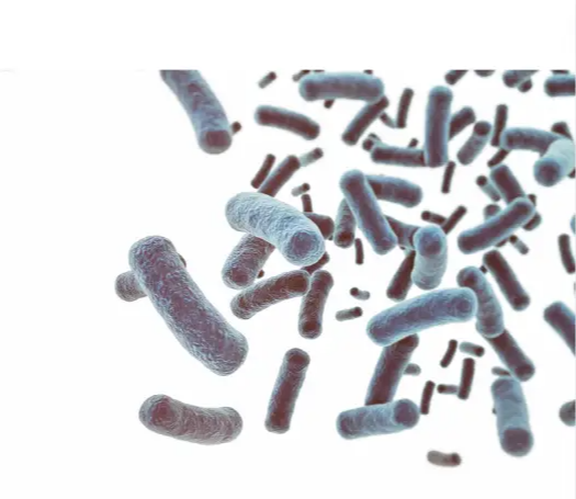 장염에 안좋은 음식&amp;#44; 장염 원인 증상