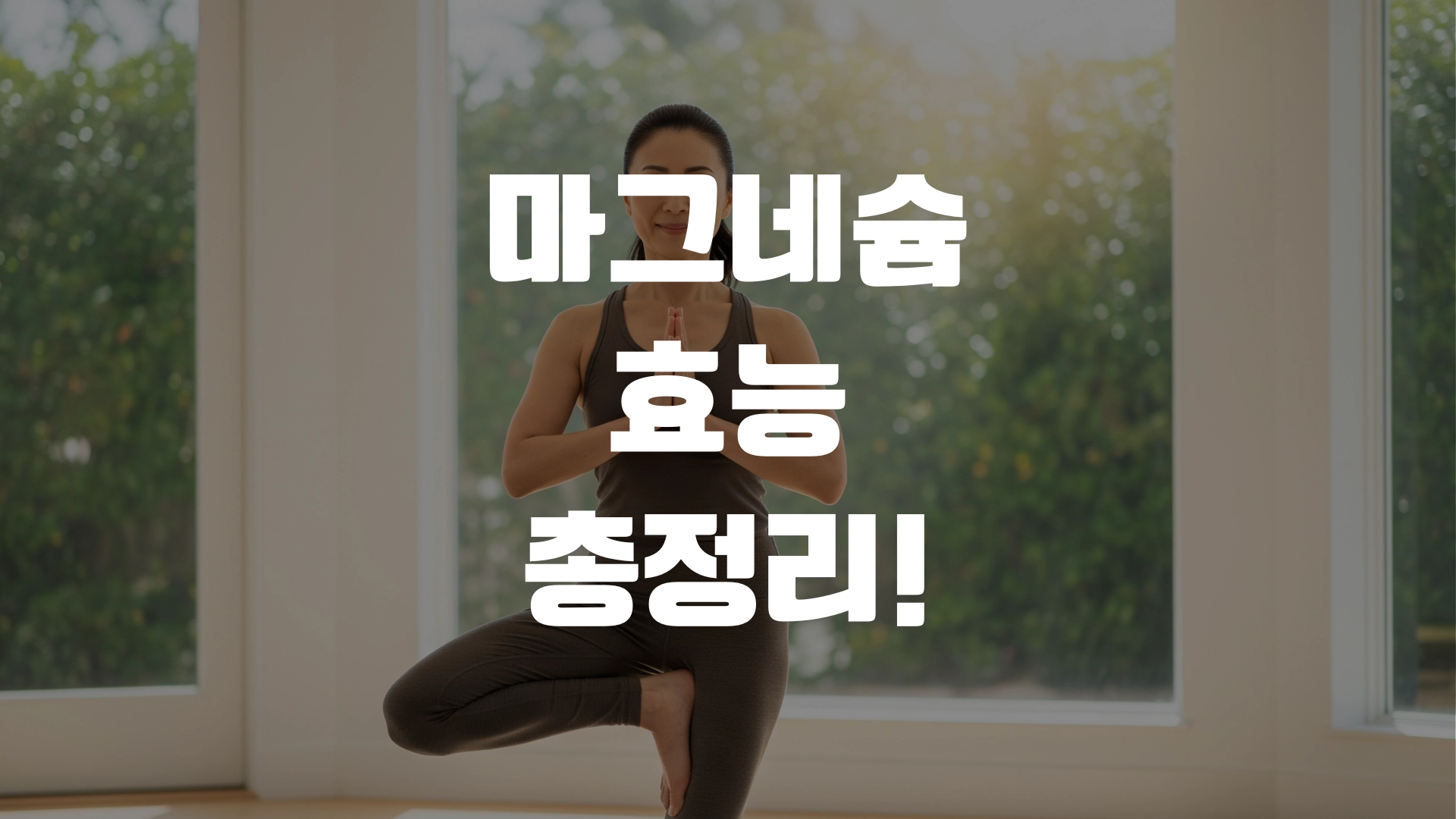 마그네슘 효능 총정리! 포스팅 섬네일