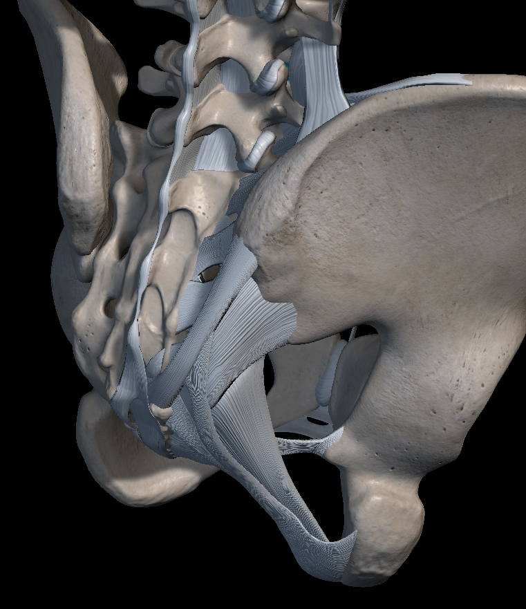 꼬리뼈 통증 원인 치료