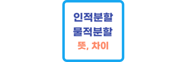 인적분할-물적분할