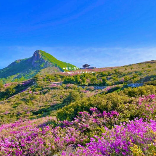 5월 축제 가볼만한곳