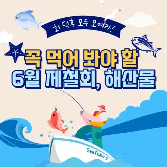 6월 제철회 종류별 신선한 해산물의 맛있는 향연_14
