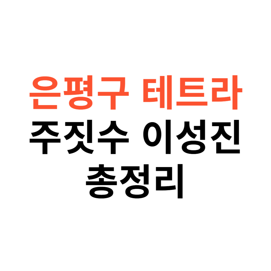 은평구 테트라 주짓수