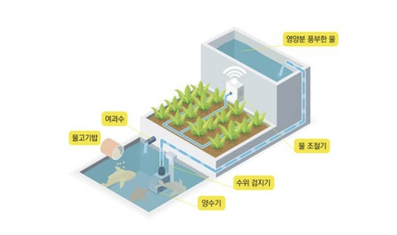 생방송투데이 환승직업 두 번째 인생 충주 쌈 채소 농장 웰팜이에이씨 쌈채소 스마트스토어 주문방법