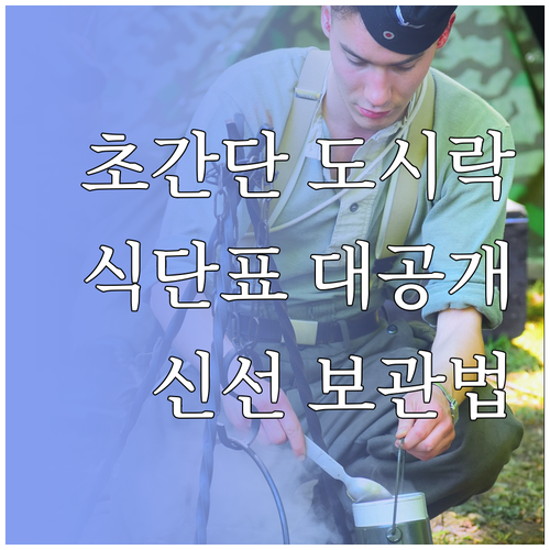효율적인 도시락 준비: 영양 균형 식..