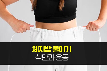 체지방줄이기-썸네일