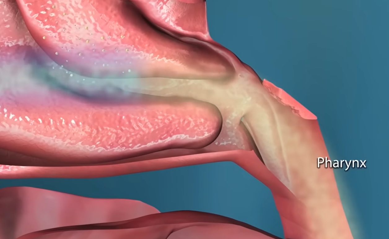 콧물이 계속 나는 이유