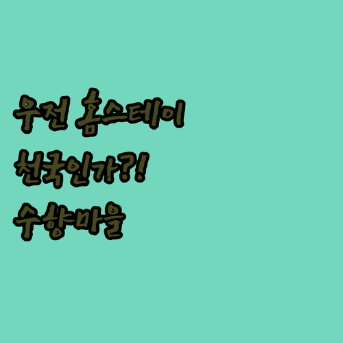 우전 홈스테이 생생 후기 여기가 천국..