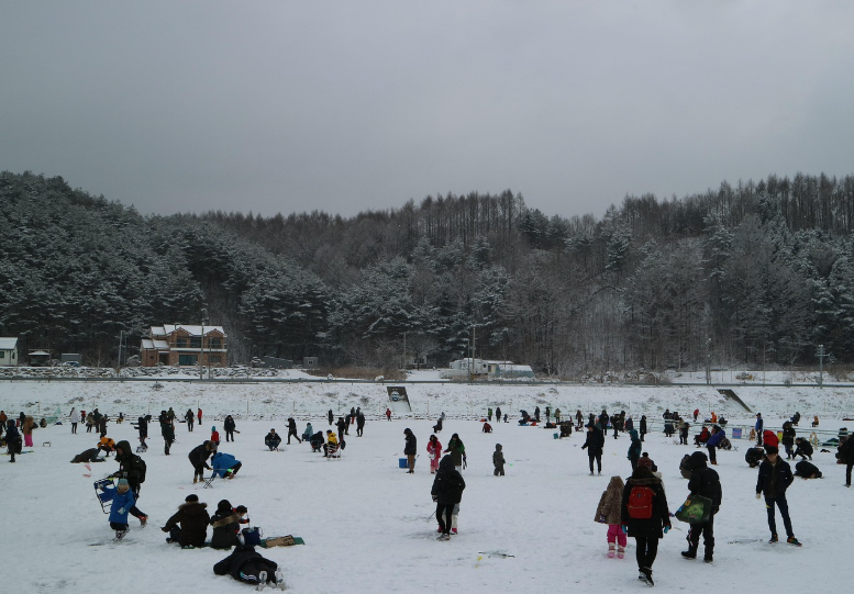 평창송어축제 사진