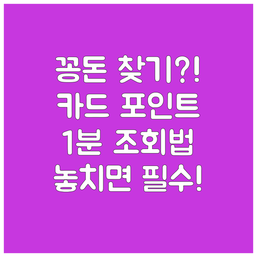 나도 모르는 카드 포인트 통합 조회로..