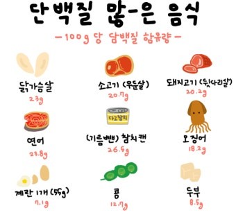 40대 운동시작(근력운동,유산소운동,단백질섭취)-단백질사진