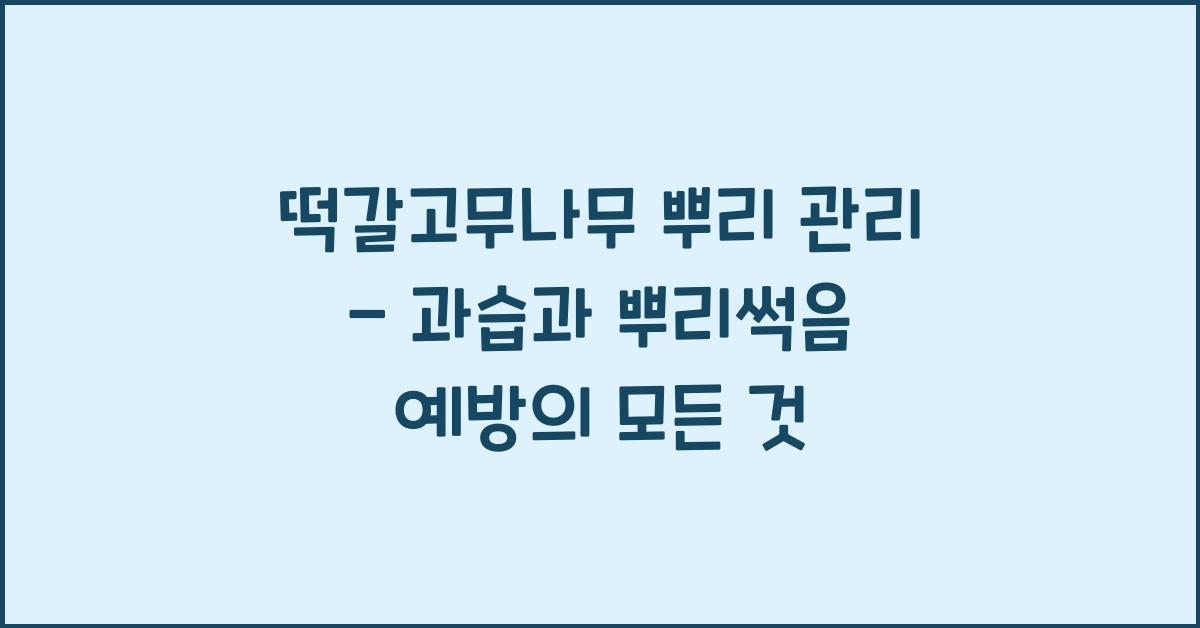 떡갈고무나무 뿌리 관리 - 과습/뿌리썩음 예방하기