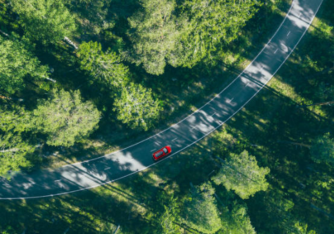 운전면허증 갱신 인터넷