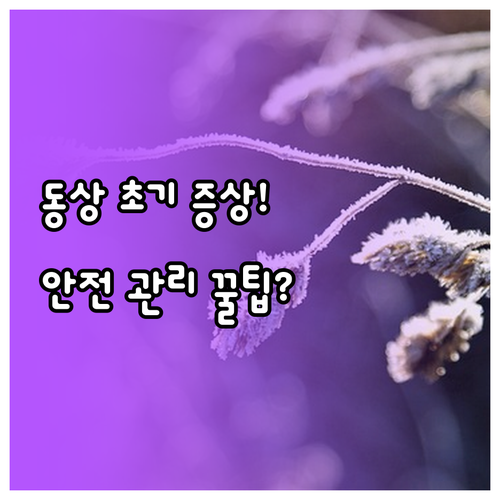 겨울철 동상 초기 증상과 재가온 후 ..