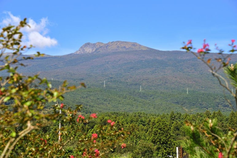 제주 서귀포 영천오름 '캠파제주' 미리보기