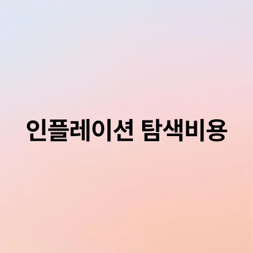 인플레이션 탐색비용
