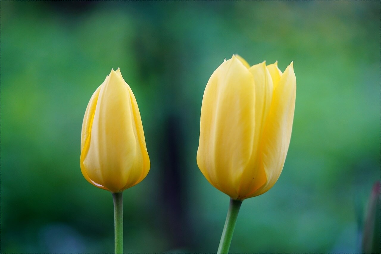 우리은행 정기예금 금리