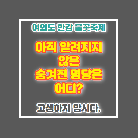 여의도 한강 불꽃 축제 명당