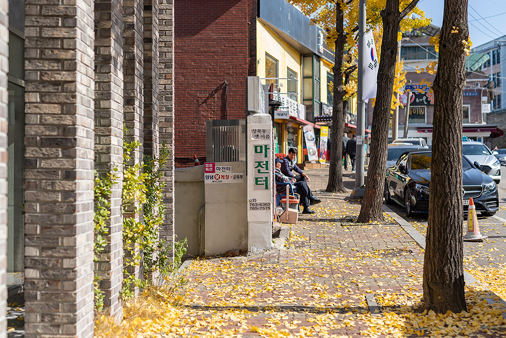 혜화문
성북동
한양도성길
백악구간
서울여행
서울단풍
가을단풍
단풍
은행
