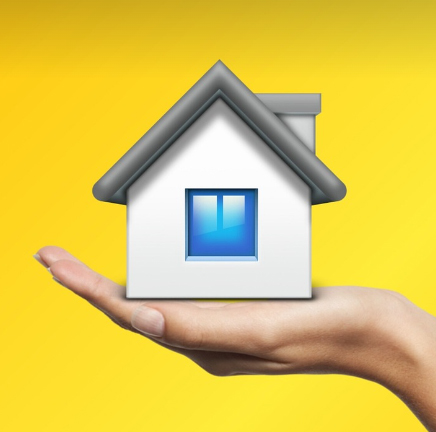 국민 생활 안정 보조금