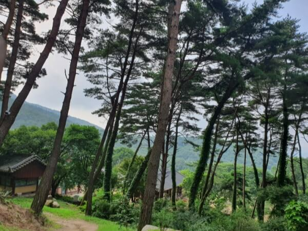 산신각에서 내려보는 사찰전경