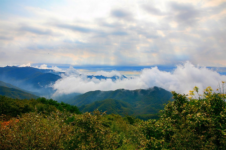 2025 대전 효문화뿌리축제&amp;#44; 세대가 어우러지는 효! 월드 대표 문화축제 (중구 뿌리공원)