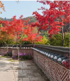 화담숲