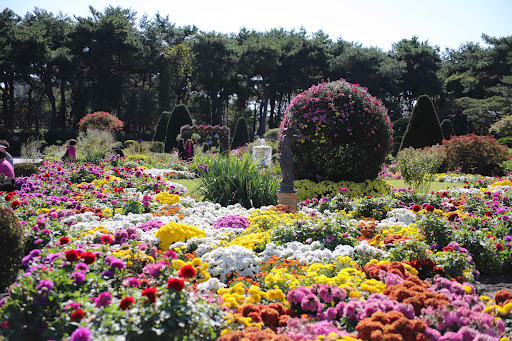 파주 벽초지수목원 :입장료, 가는길, 운영시간, 예약 총정리