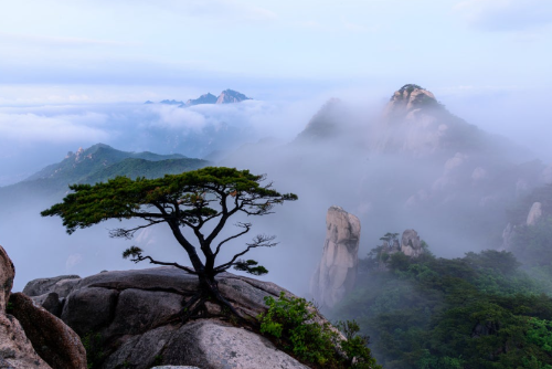 서울 근교 여름 휴가