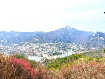 북악산 등산코스 개방 코스 둘레길 가는길_7