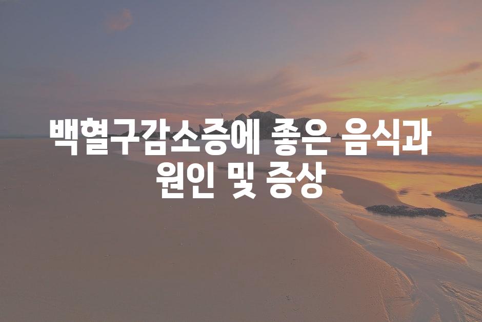 샘플 (77)
