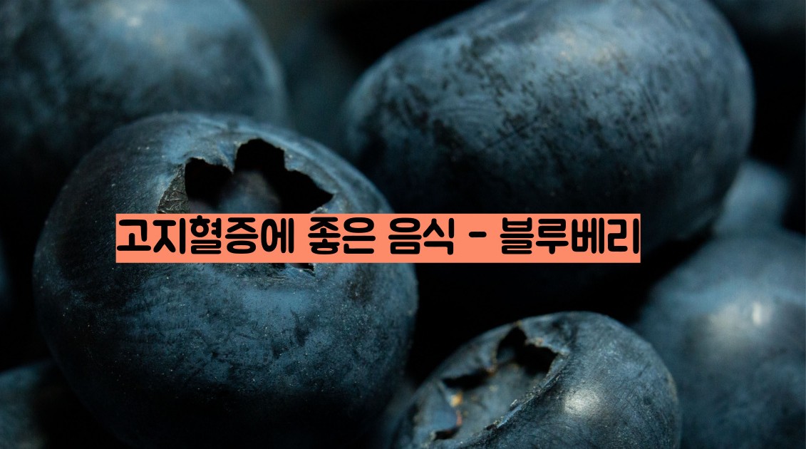 고지혈증에 좋은 음식