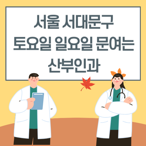 서울 서대문구 토요일 일요일 산부인과 진료 병원 리스트