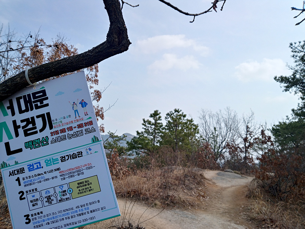 워크온앱-서대문 산따라 나혼자걷기챌린지 백련산스마트자락길