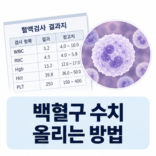 혈액검사표와 백혈구 아이콘으로 백혈구 수치 올리는 방법을 표현한 이미지