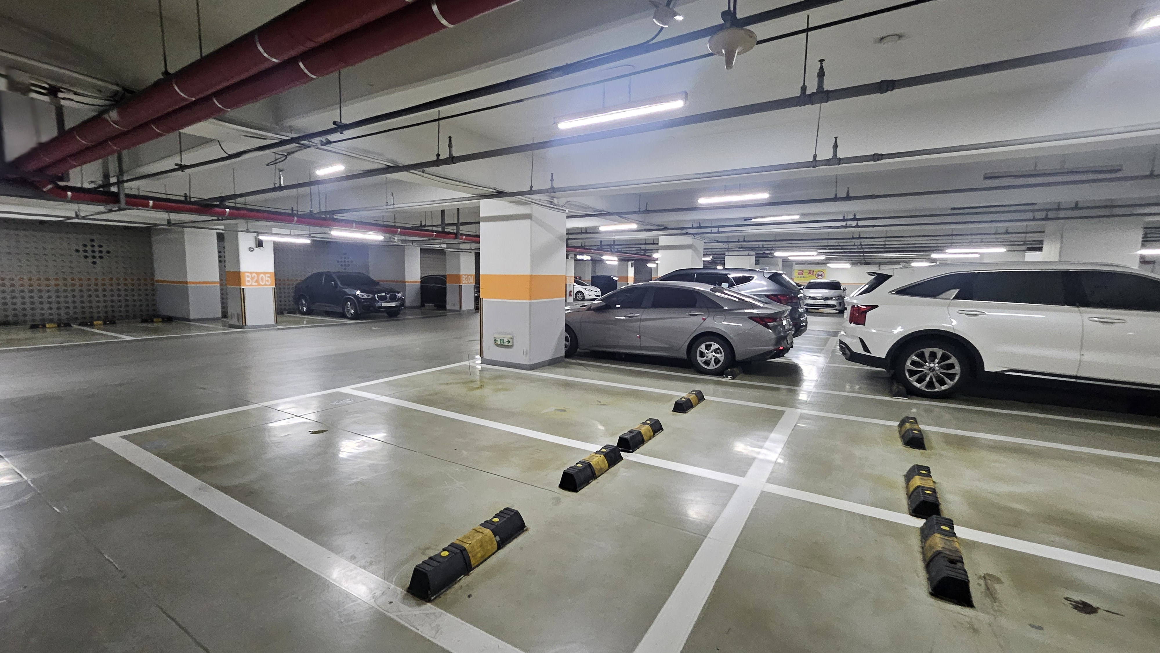 2장. 라인핏, 그리고 내 두 번째 집