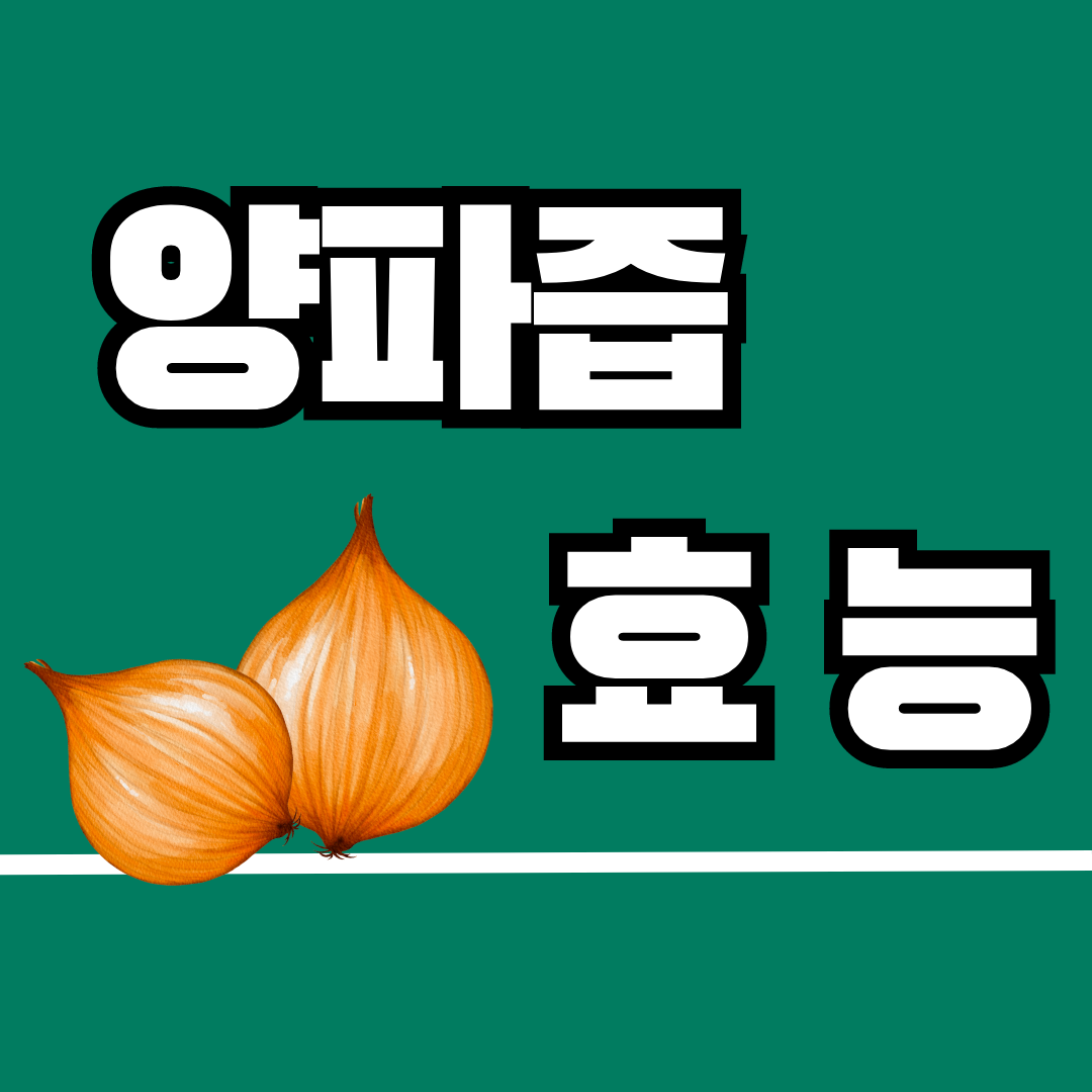양파즙 효능 12가지