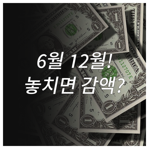 근로장려금 반기 지급일 12월 6월 ..