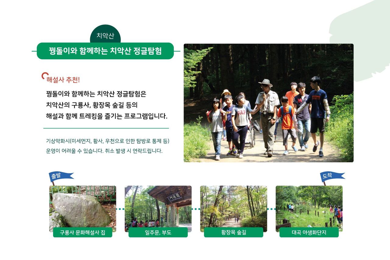 캠핑장 프로그램