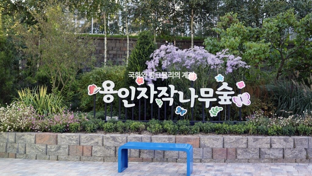 생생정보 택시맛객 용인여행 용인자작나무숲 봄꽃축제 실내스카이다이빙체험 족발맛집 평원집