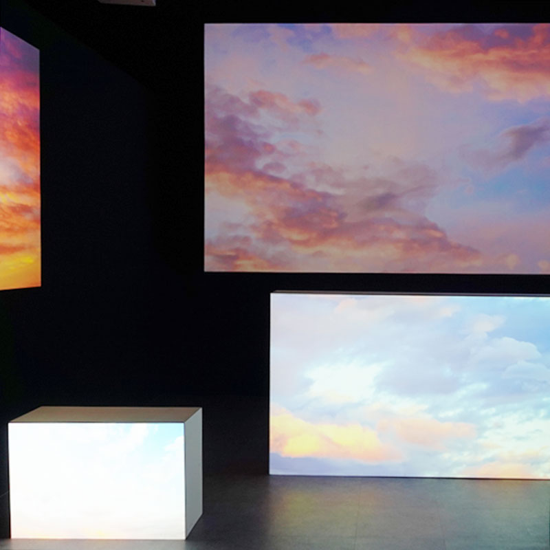 The Color Spot : 꿈속의 자연 - 하루의 시작